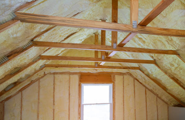 Best Cellulose Insulation  in Breckenridge, CO