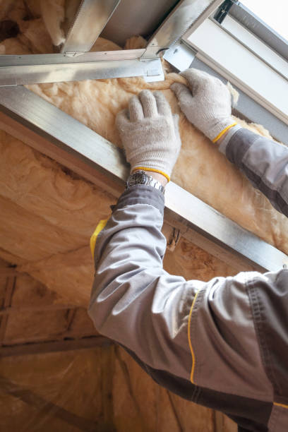 Best Attic Insulation Installation  in Breckenridge, CO