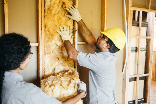 Best Insulation Replacement Services  in Breckenridge, CO