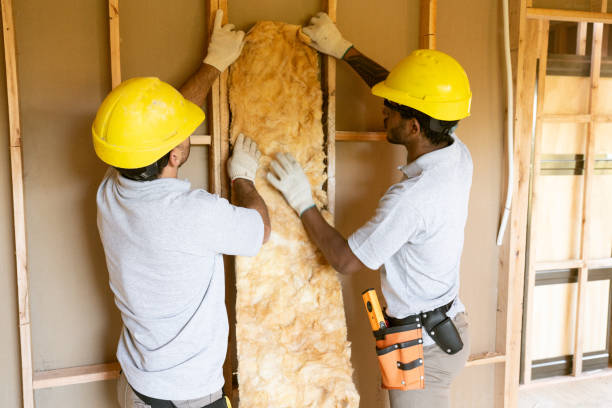 Best Home Insulation Services  in Breckenridge, CO