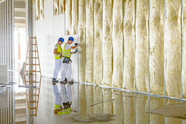 Best Wall Insulation Contractor  in Breckenridge, CO